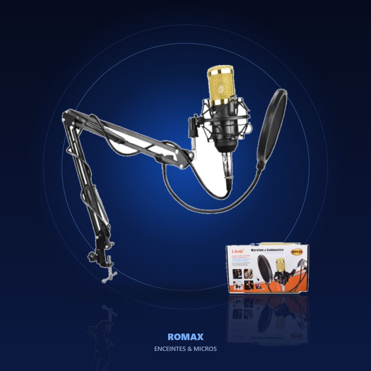 Microphone professionnel – ambiance